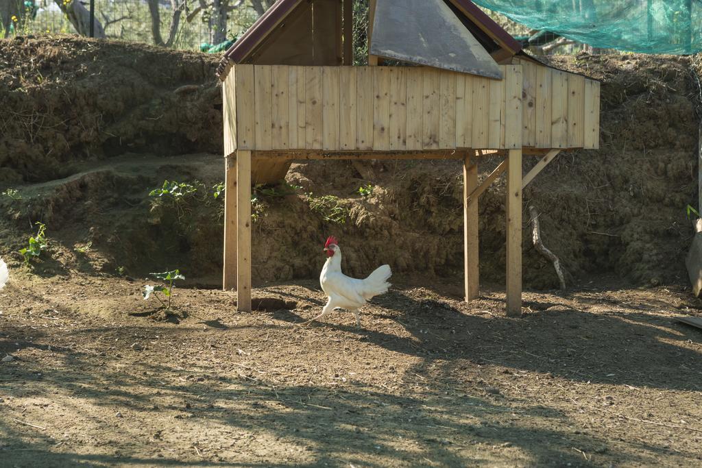 Relais Regina Giovanna Σορέντο Εξωτερικό φωτογραφία