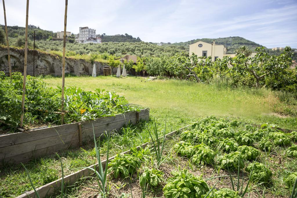 Relais Regina Giovanna Σορέντο Εξωτερικό φωτογραφία