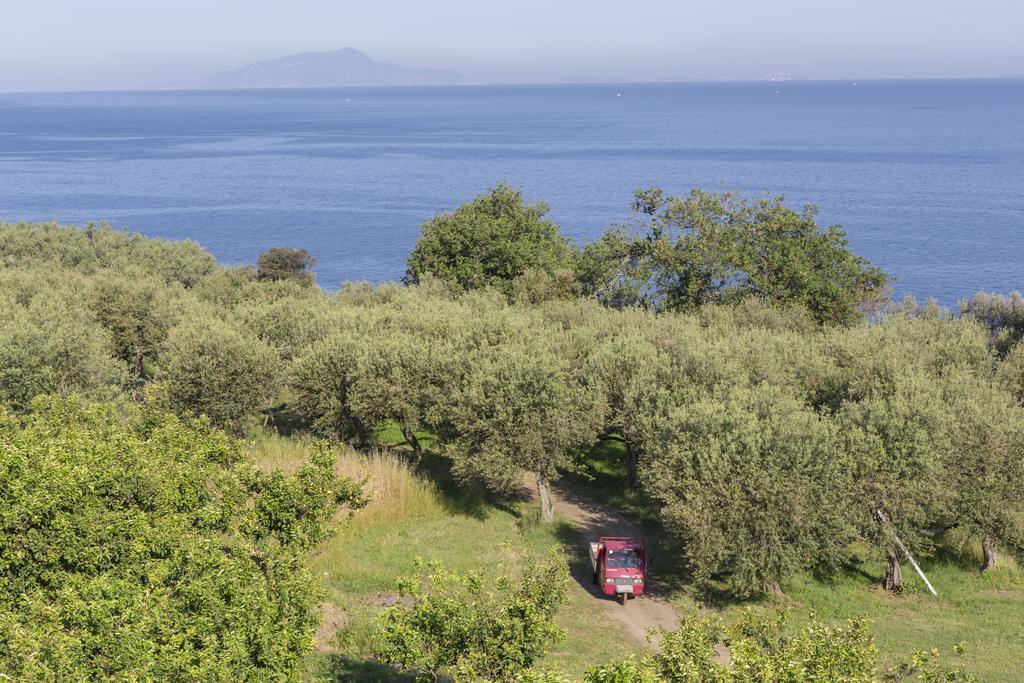Relais Regina Giovanna Σορέντο Εξωτερικό φωτογραφία