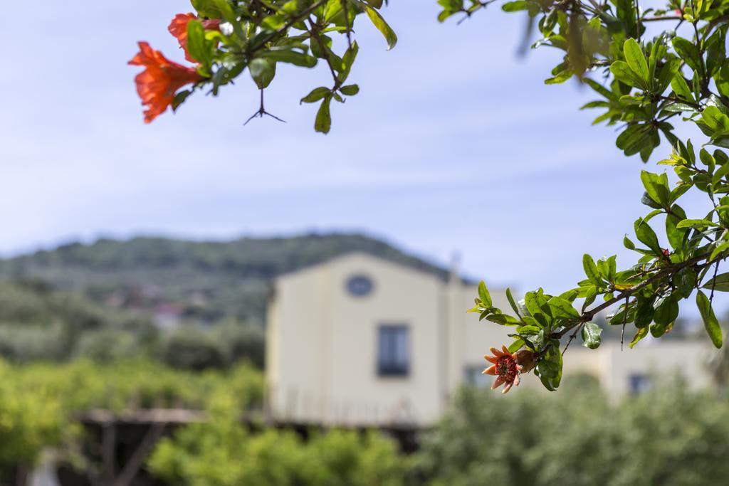 Relais Regina Giovanna Σορέντο Εξωτερικό φωτογραφία