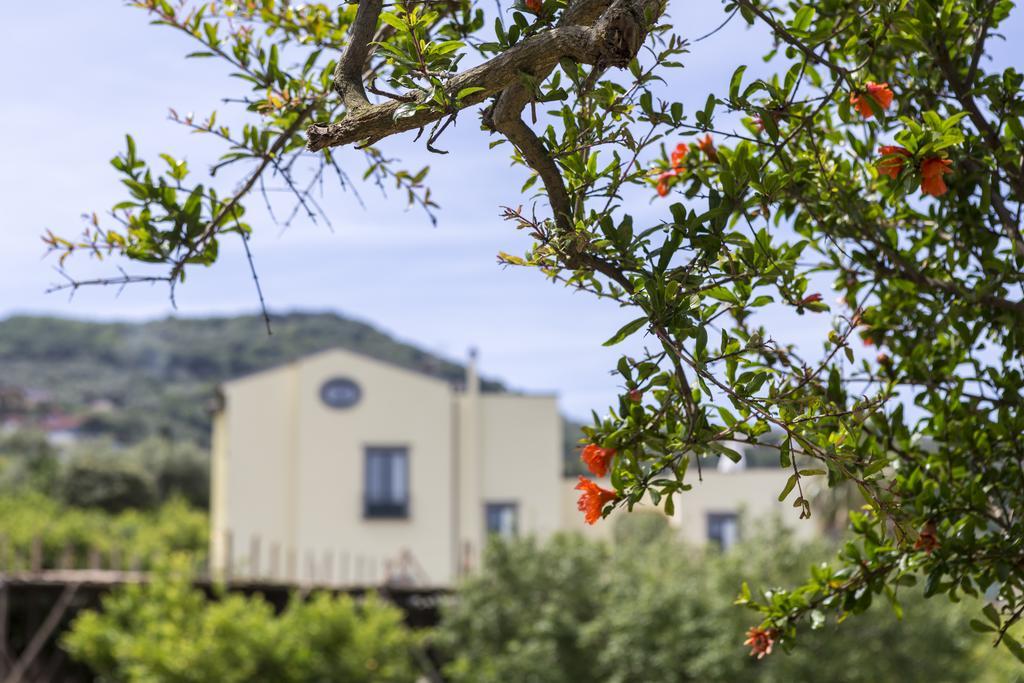 Relais Regina Giovanna Σορέντο Εξωτερικό φωτογραφία